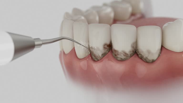 Reliable Dental contractor in Chesapeake, OH by Dentist Open Now